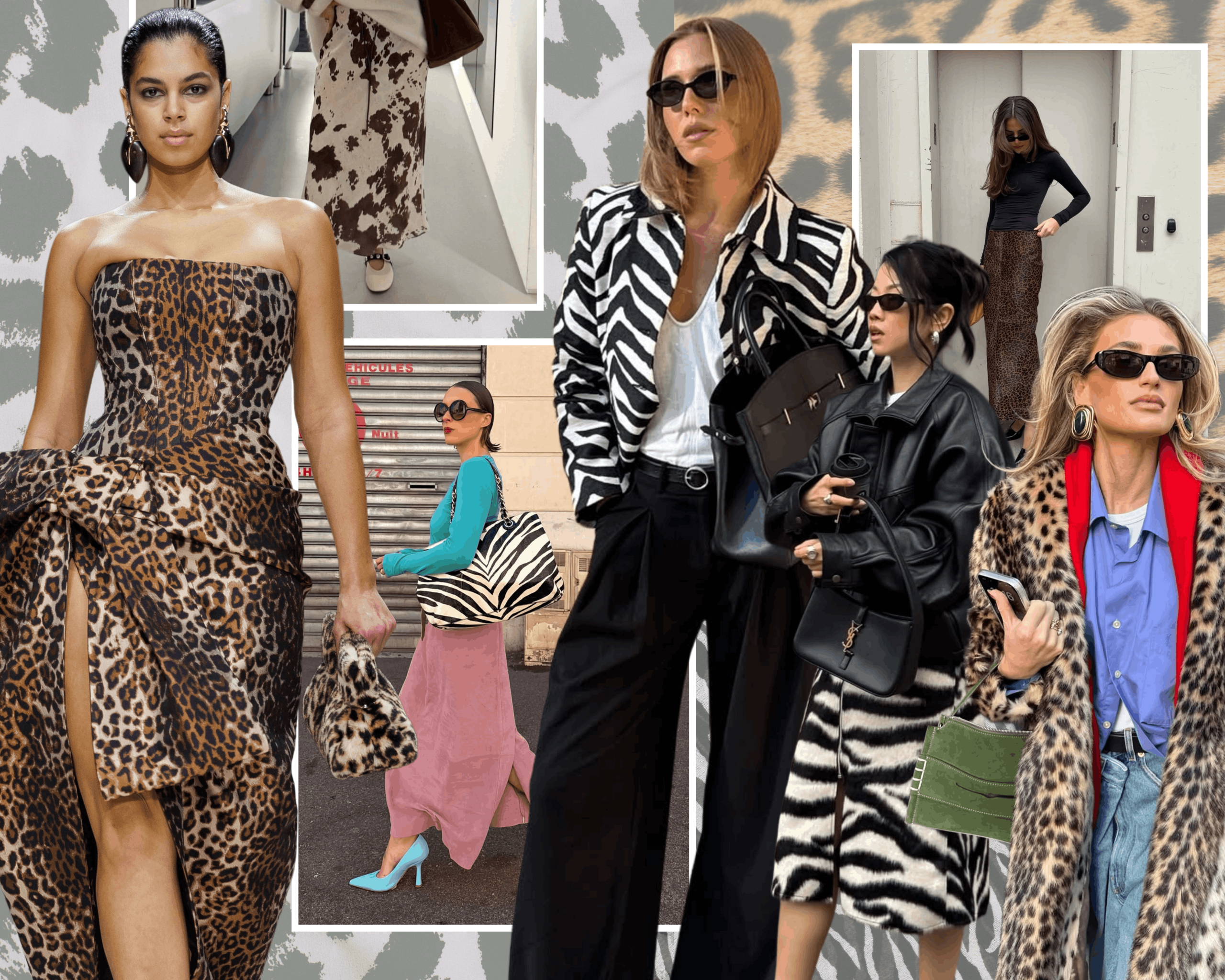 animal print neutral